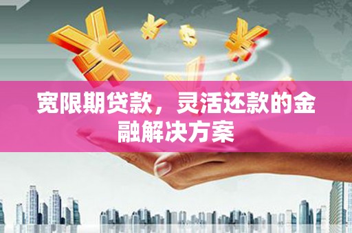 舞阳宽限期贷款，灵活还款的金融解决方案