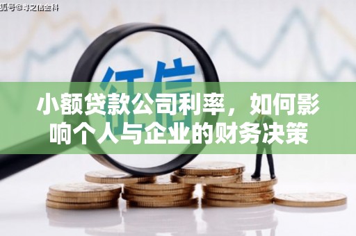 甘谷小额贷款公司利率，如何影响个人与企业的财务决策