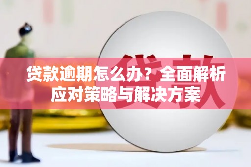 丰都贷款逾期怎么办？全面解析应对策略与解决方案