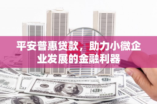 黄南平安普惠贷款，助力小微企业发展的金融利器