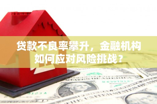 蓬溪贷款不良率攀升，金融机构如何应对风险挑战？
