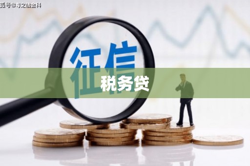 英吉沙税务贷