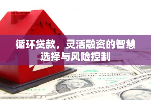 湖西循环贷款，灵活融资的智慧选择与风险控制