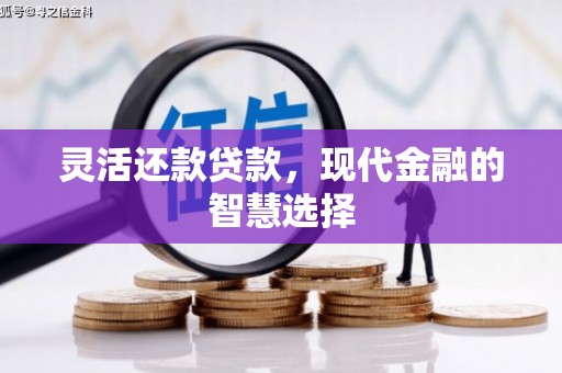 南城灵活还款贷款，现代金融的智慧选择