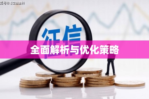 平武全面解析与优化策略