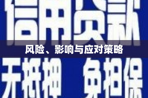 连南风险、影响与应对策略