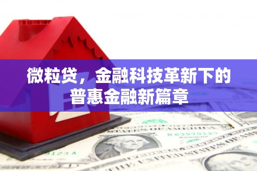 竹南微粒贷，金融科技革新下的普惠金融新篇章