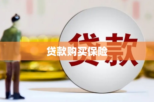 梨树贷款购买保险