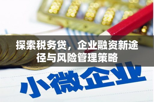 北市探索税务贷，企业融资新途径与风险管理策略