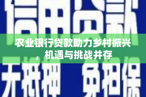 辛集农业银行贷款助力乡村振兴，机遇与挑战并存