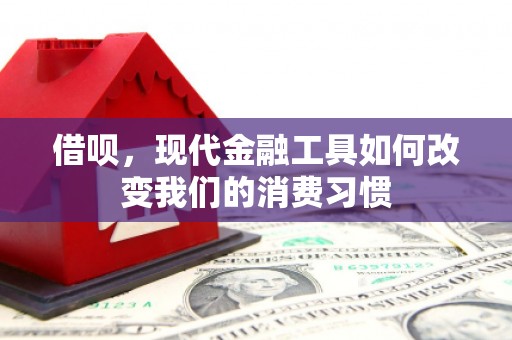 立山借呗，现代金融工具如何改变我们的消费习惯