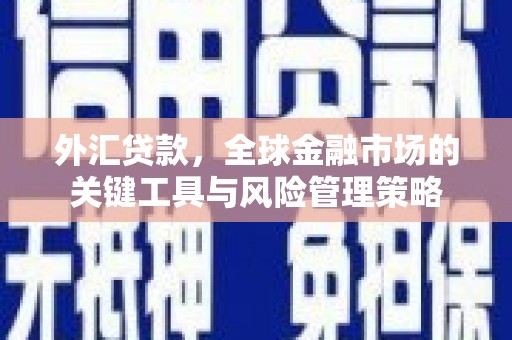 新社外汇贷款，全球金融市场的关键工具与风险管理策略
