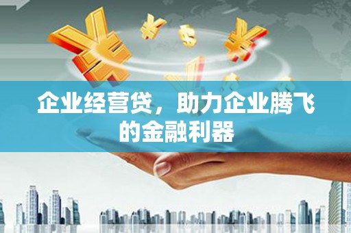 两江新区企业经营贷，助力企业腾飞的金融利器