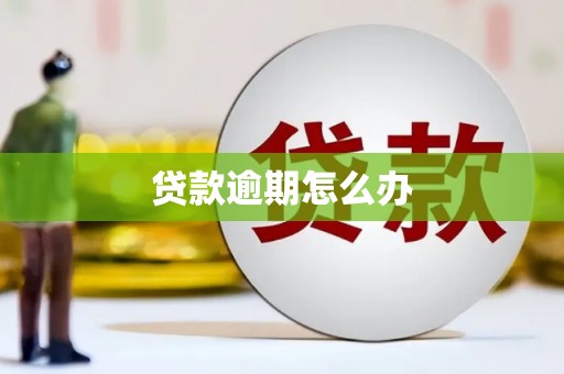 海丰贷款逾期怎么办