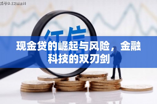 柳南现金贷的崛起与风险，金融科技的双刃剑