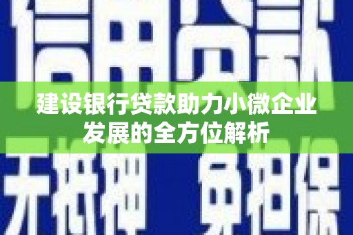 高邮建设银行贷款助力小微企业发展的全方位解析