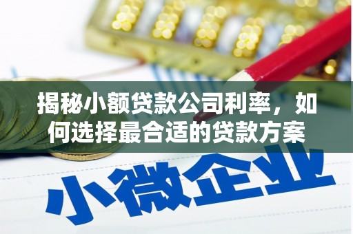 台西揭秘小额贷款公司利率，如何选择最合适的贷款方案