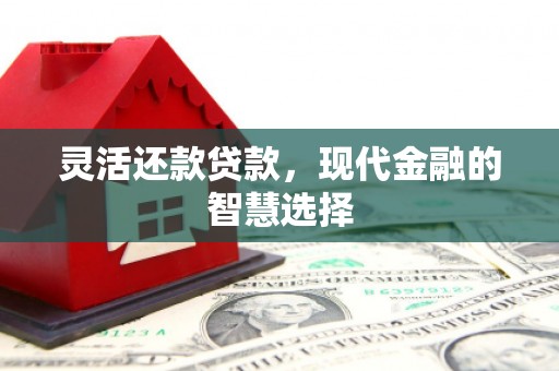 莒南灵活还款贷款，现代金融的智慧选择