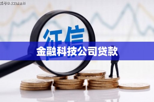 秦安金融科技公司贷款