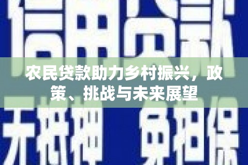 藁城农民贷款助力乡村振兴，政策、挑战与未来展望