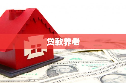 田中贷款养老