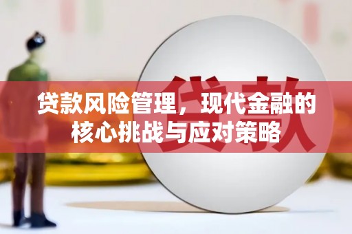 纳溪贷款风险管理，现代金融的核心挑战与应对策略