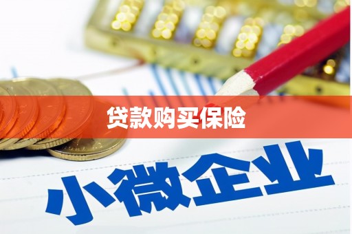 高埗贷款购买保险