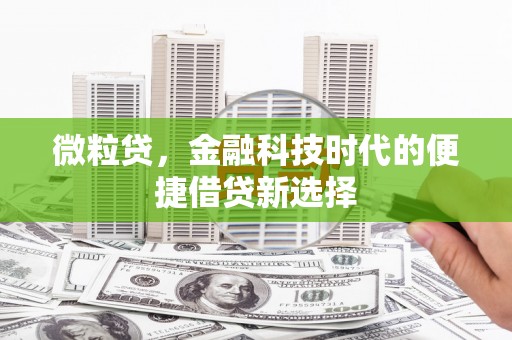 高平微粒贷，金融科技时代的便捷借贷新选择