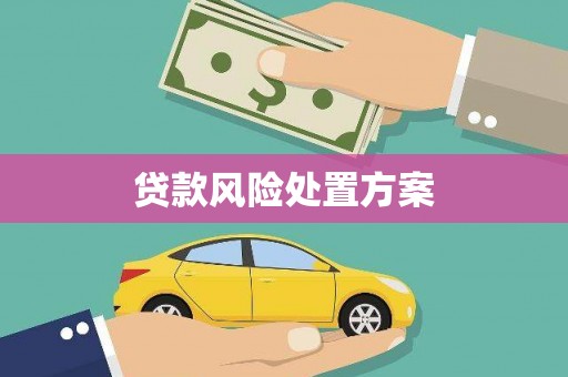 革吉贷款风险处置方案