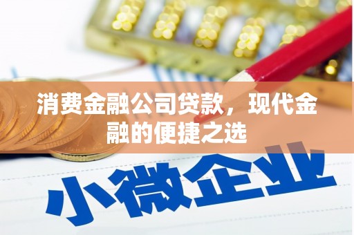 宁晋消费金融公司贷款，现代金融的便捷之选