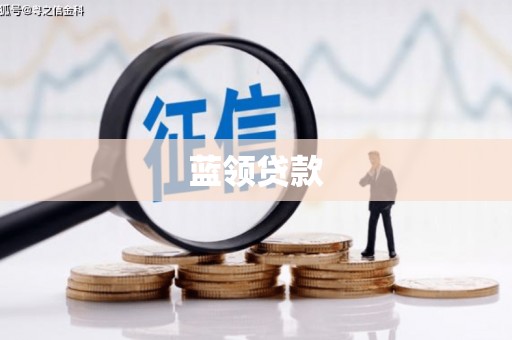 阿巴嘎旗蓝领贷款