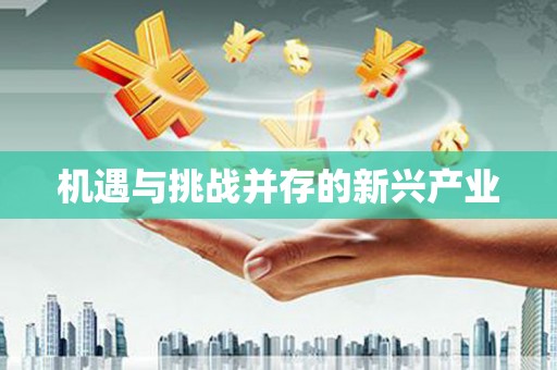 射阳机遇与挑战并存的新兴产业