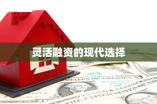竹南灵活融资的现代选择