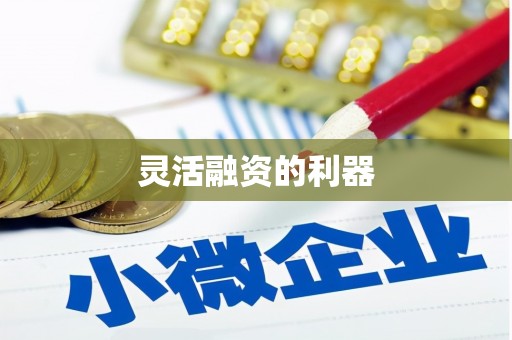 巴中灵活融资的利器