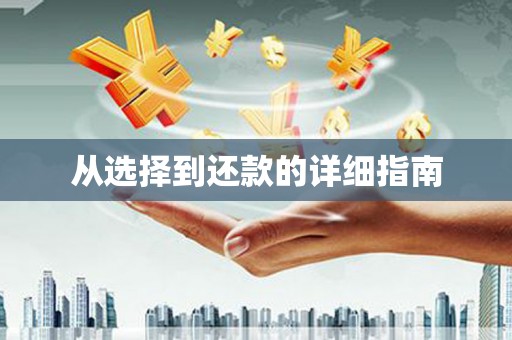 八里从选择到还款的详细指南