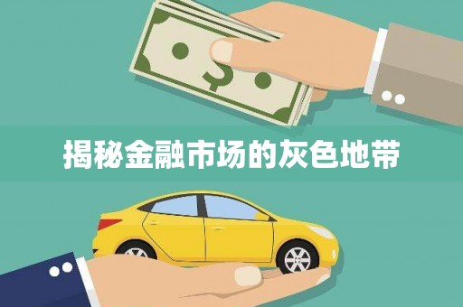 澜沧揭秘金融市场的灰色地带