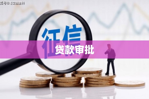 水里贷款审批