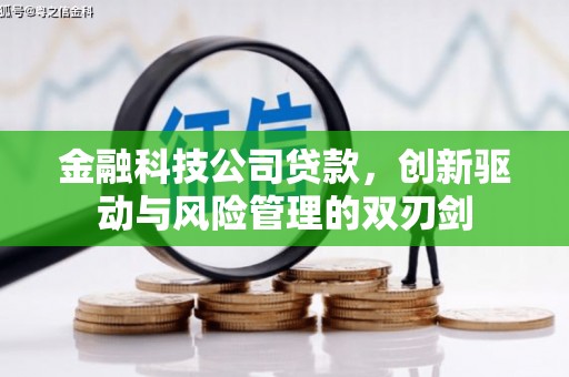 长白金融科技公司贷款，创新驱动与风险管理的双刃剑